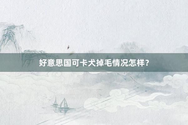 好意思国可卡犬掉毛情况怎样？