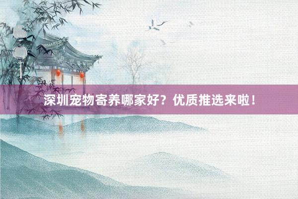 深圳宠物寄养哪家好？优质推选来啦！