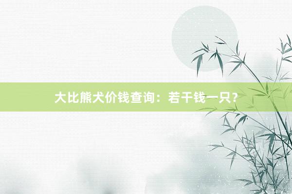 大比熊犬价钱查询:若干钱一只?